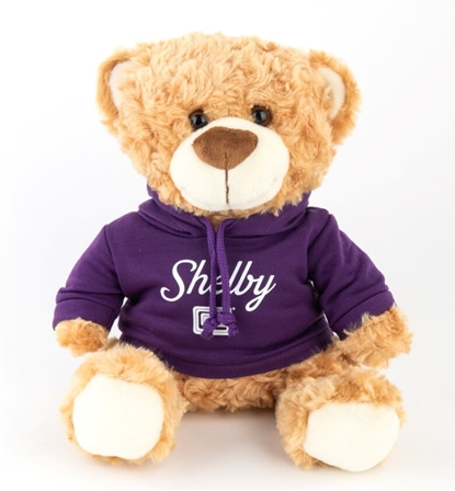10" Teddy Bear, Purple Shelby Hoodie