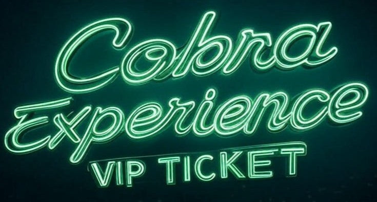 VIP Experience
