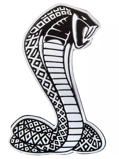 Shelby Snake Embossed Magnet