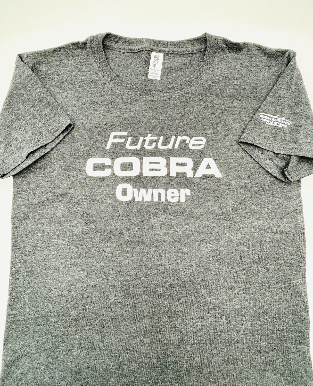 Future Cobra Owner Youth T-Shirt Heather Grey