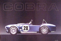 Blue Cobra #28 Poster