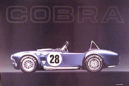 Blue Cobra #28 Poster