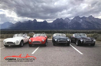 Shelby Cobra's Under Stormy Sky in Front of Mountain Postcard