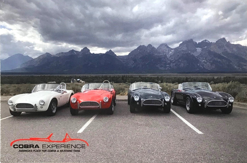 Shelby Cobra's Under Stormy Sky in Front of Mountain Postcard