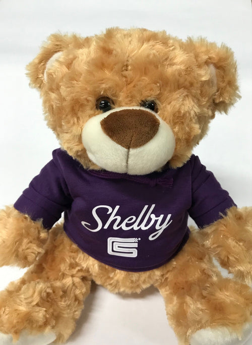 14" Teddy Bear, Purple Shelby Hoodie