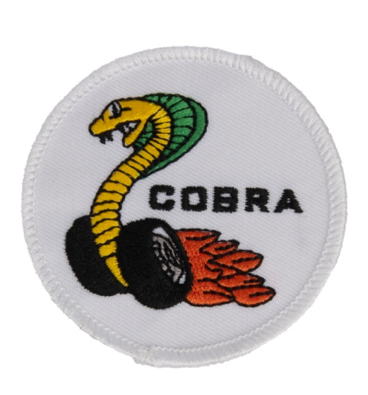 Dragonsnake Patch 2.5" Patch