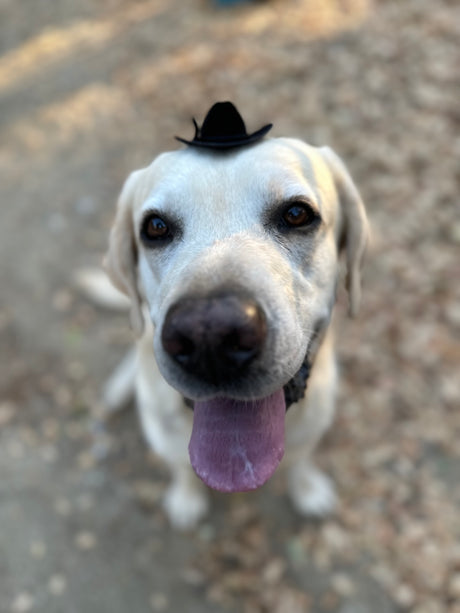 Carroll Shelby Stetson Hanging Hat