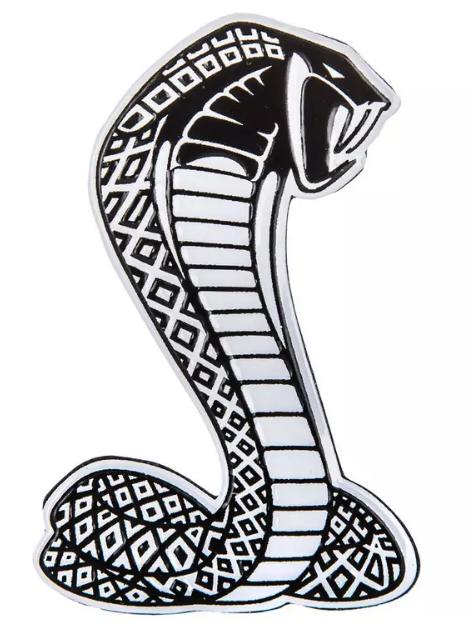 Shelby Embossed Magnet